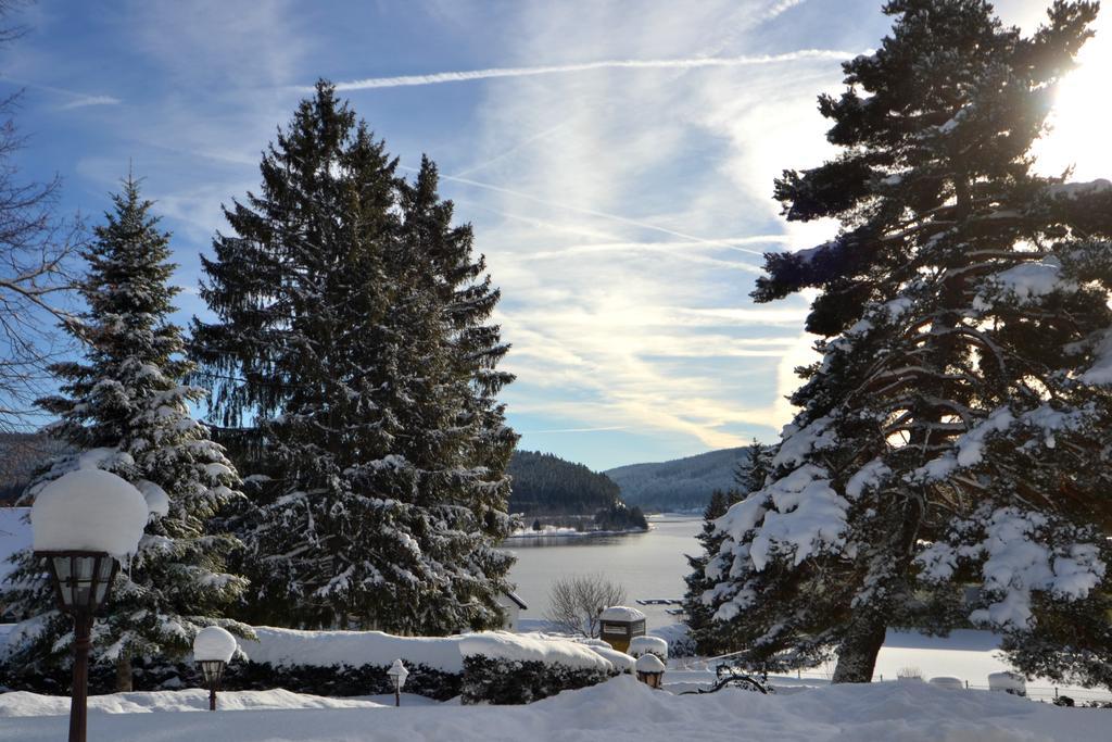 Schwarwald Apartment Schluchsee Zewnętrze zdjęcie